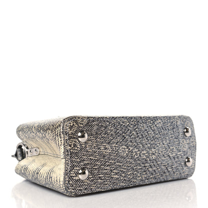 Louis Vuitton Lizard Mini Capucines Argento 4 of 9