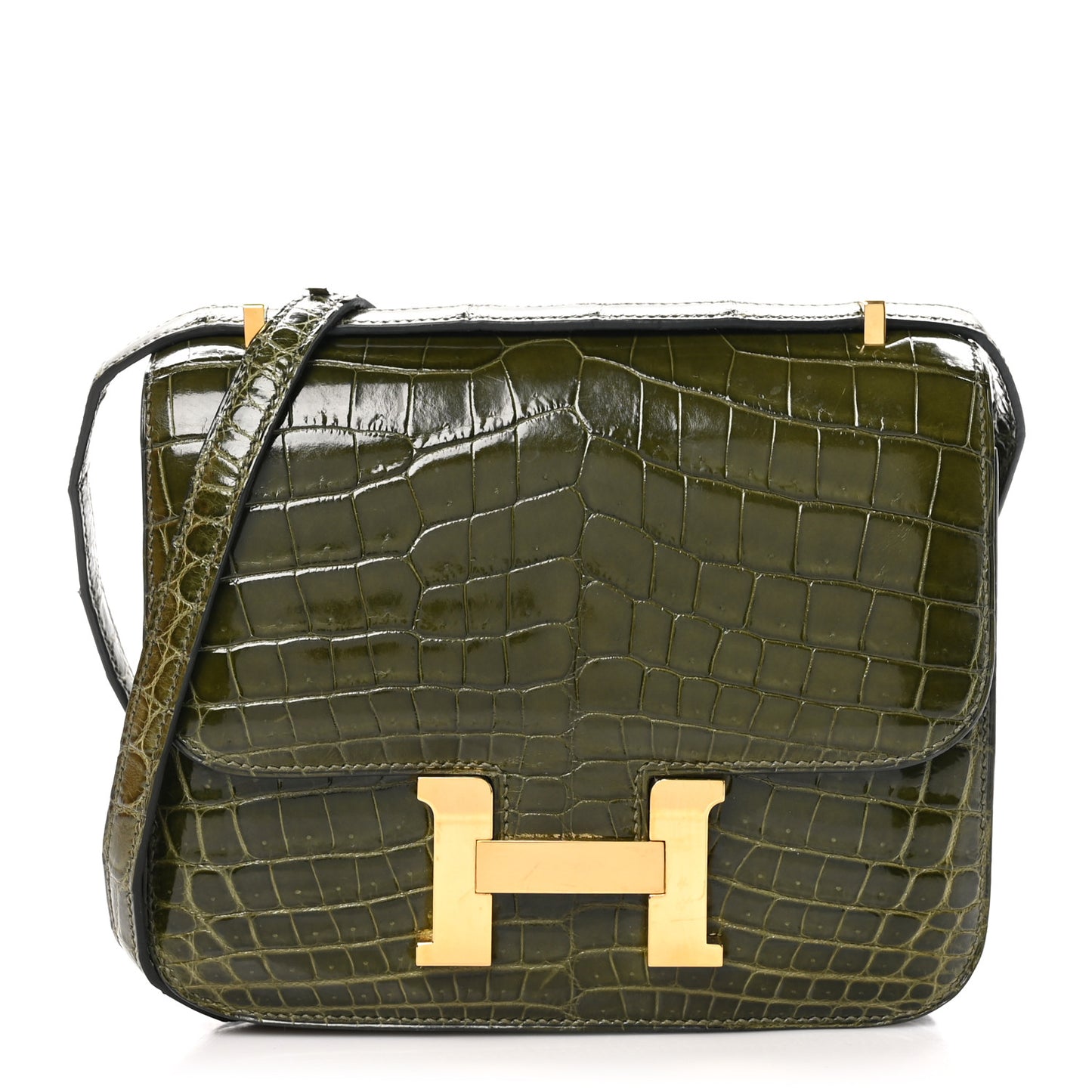 Shiny Niloticus Crocodile Constance 18 Vert Veronese
