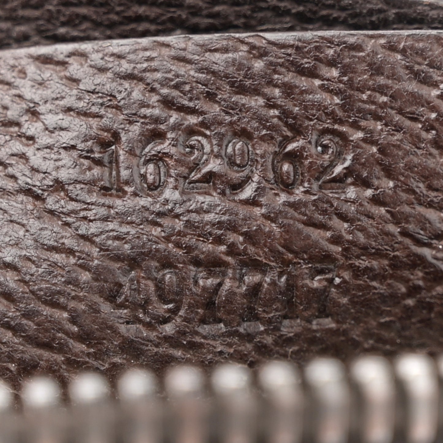 Monogram Web Belt Bag Dark Brown