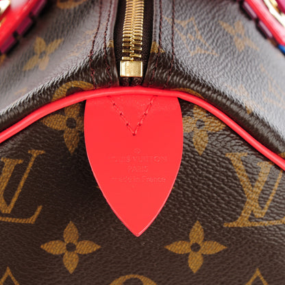 Louis Vuitton Monogram Totem Speedy 30 Flamingo 5 of 9