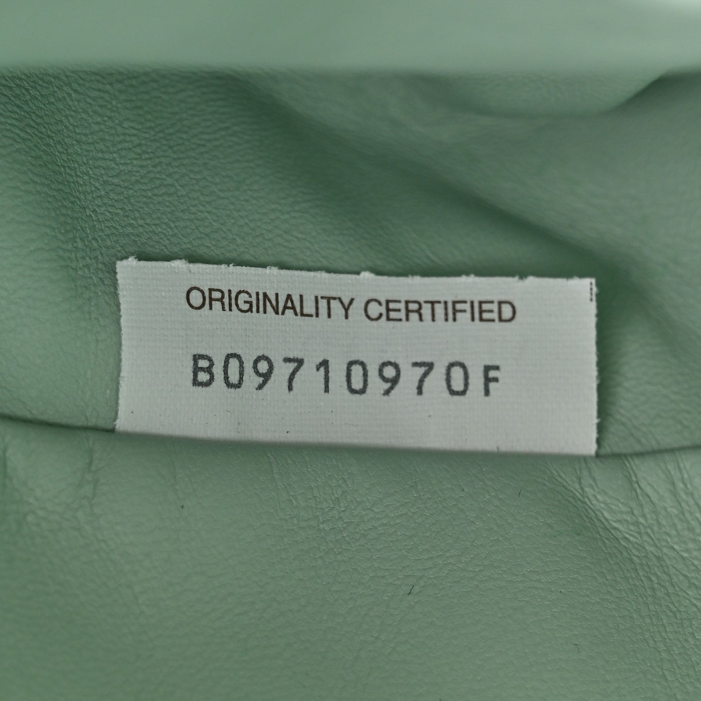 Goatskin Snakeskin The Pouch Oversized Clutch Cantaloupe