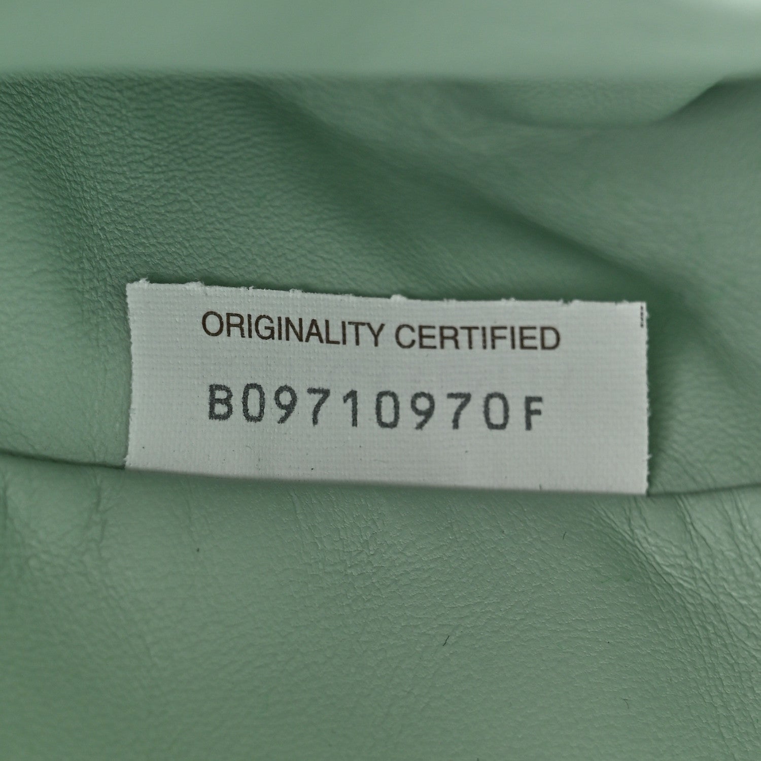 Bottega Veneta Goatskin Snakeskin The Pouch Oversized Clutch Cantaloupe 7 of 10