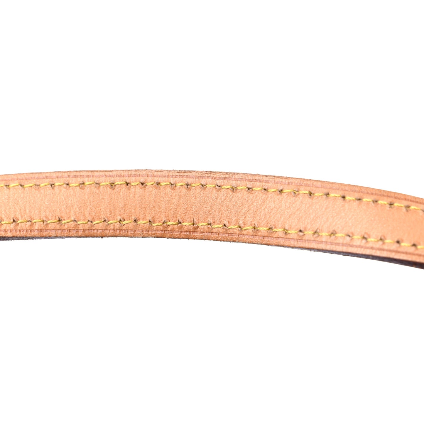 Monogram Papillon 30 With Companion