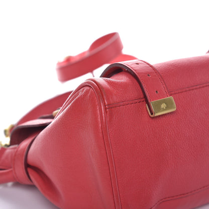 Mulberry Soft Buffalo Mini Alexa Watermelon 11 of 14