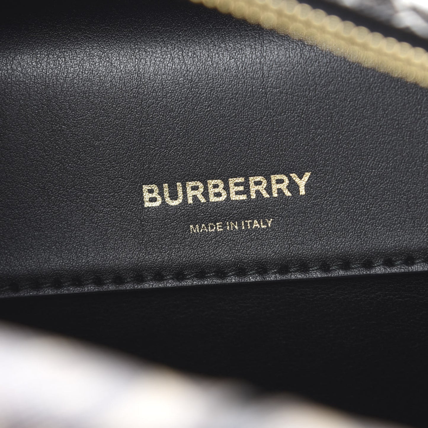 E-canvas Monogram Stripe Small Cube Bowling Bag Bridle Brown