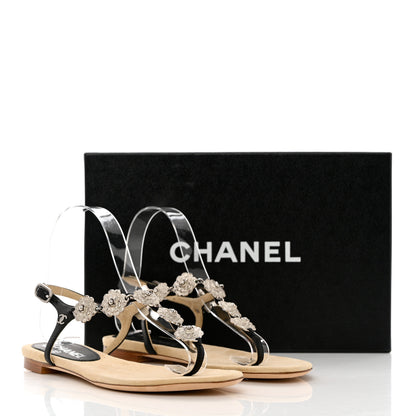 Chanel Lambskin Metal Camellia Thong Sandals 36.5 Black 11 of 11
