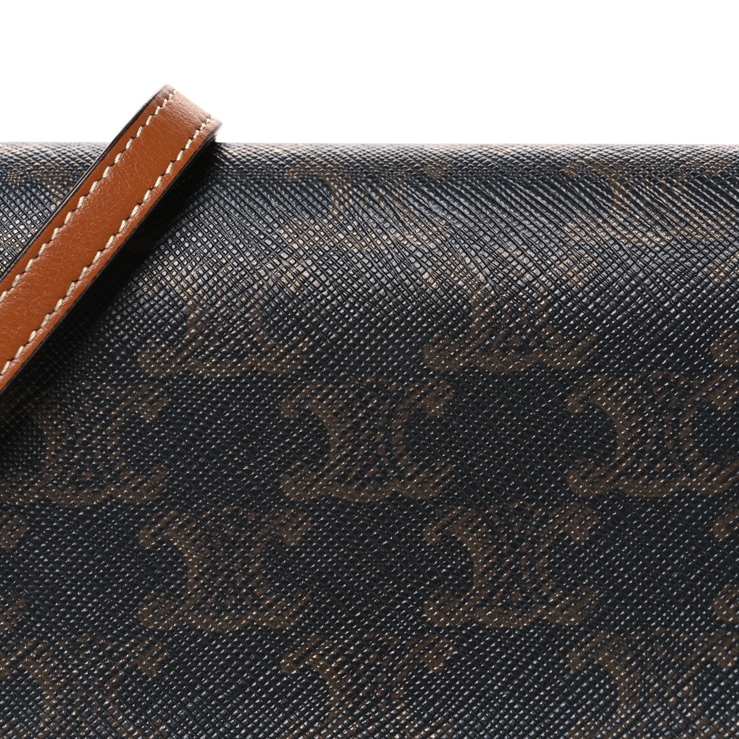 Celine Triomphe Canvas Lambskin Wallet On Strap Tan Tan 9 of 11
