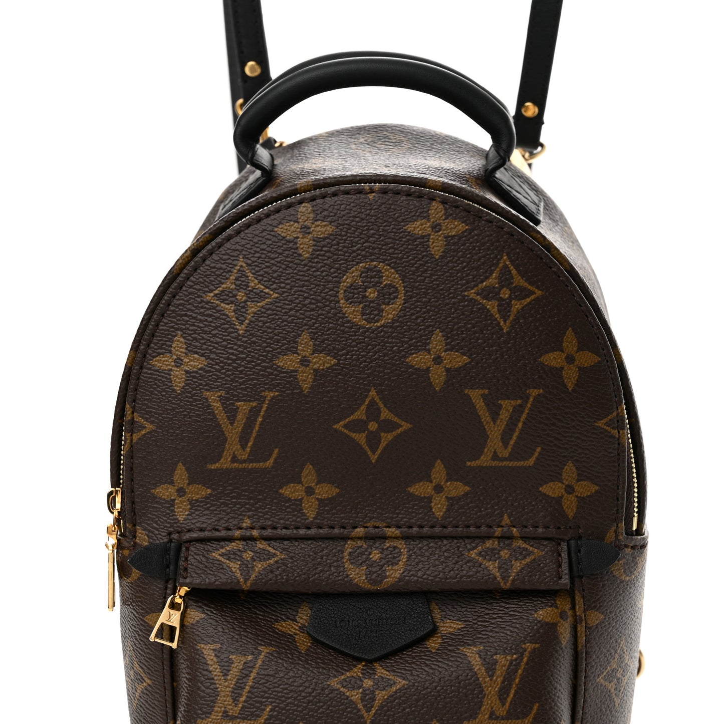 Monogram Palm Springs Backpack Mini