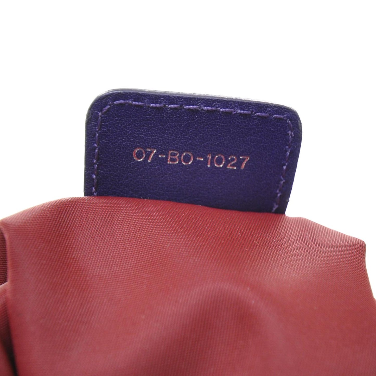 Nylon Monogram Lovely Medium Hobo Purple