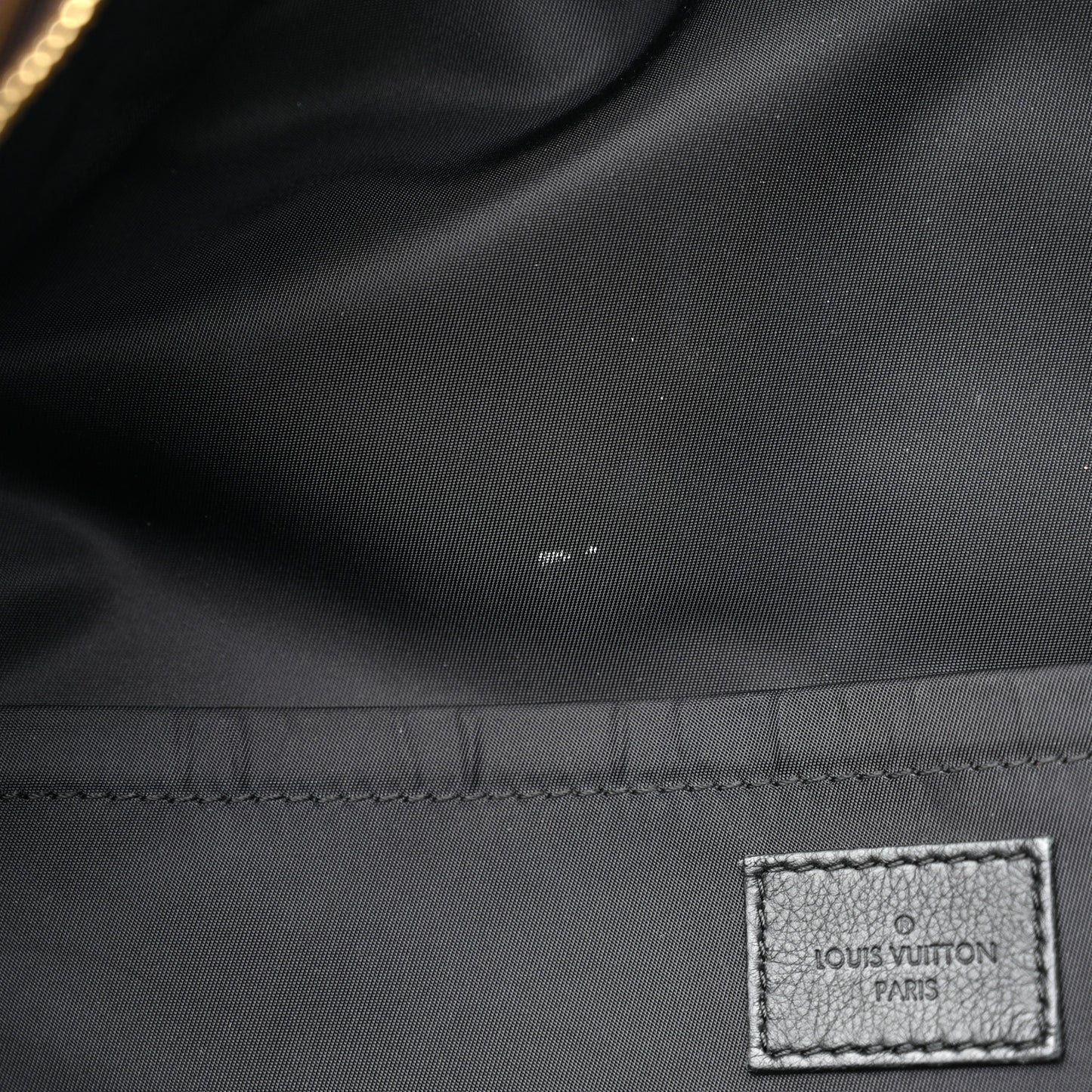 Monogram Palm Springs Backpack MM