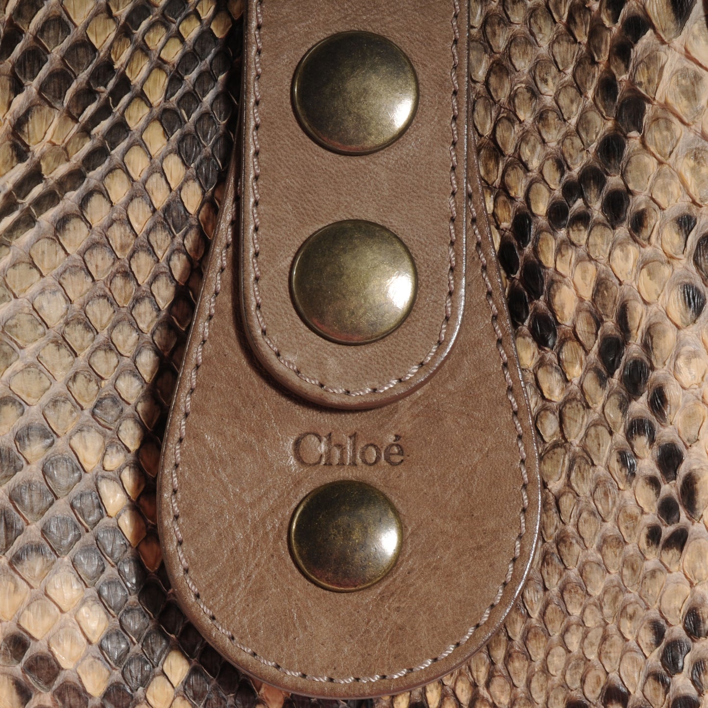 Python Silverado Tote Beige