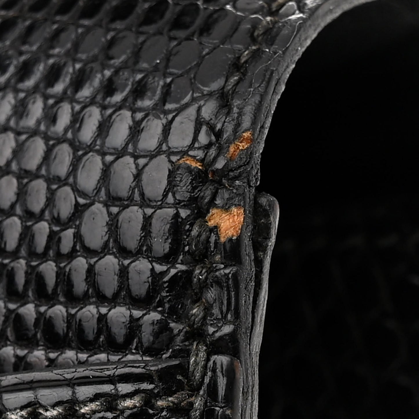 Lizard Constance 24 Black