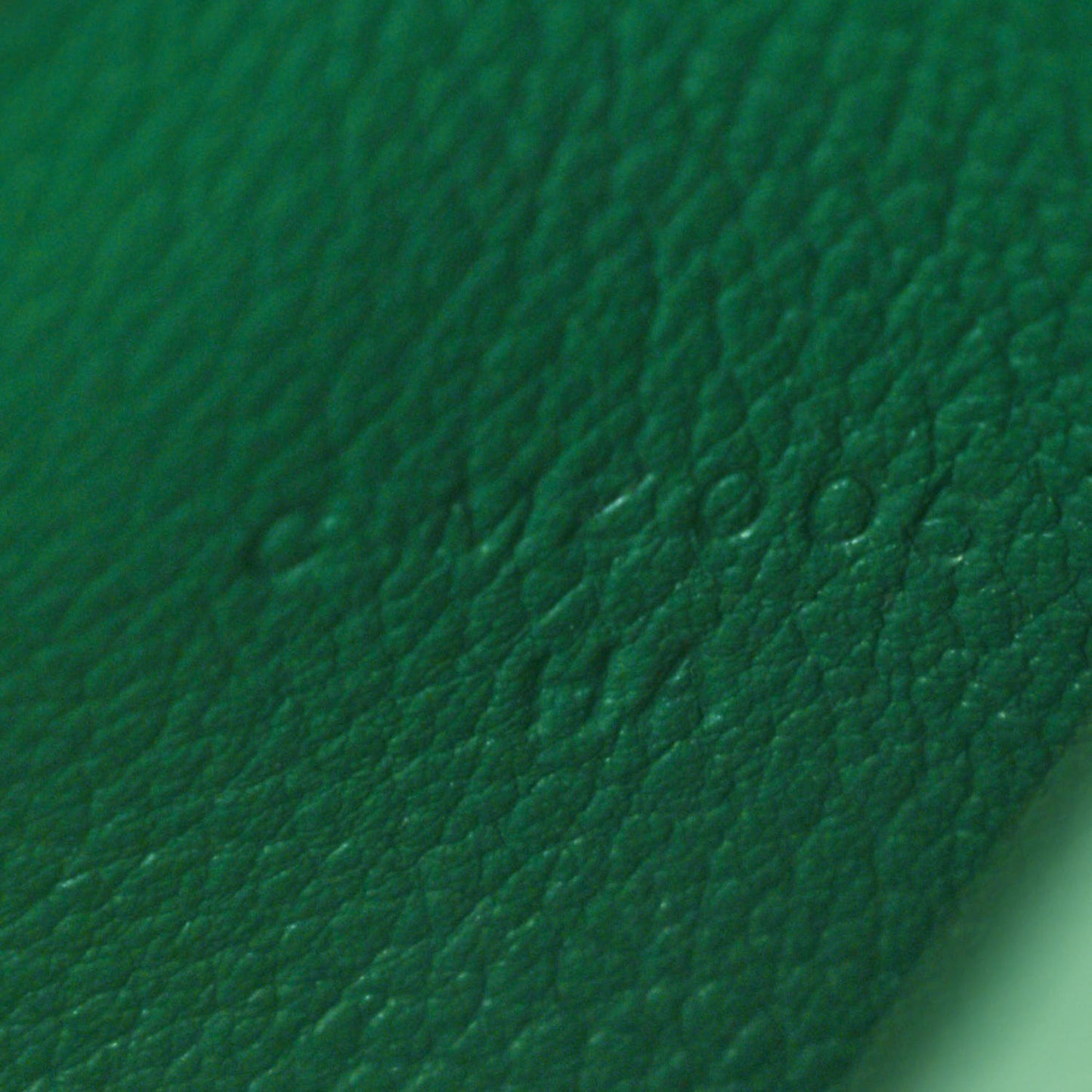 Evercolor Calvi Card Case Vert Vertigo