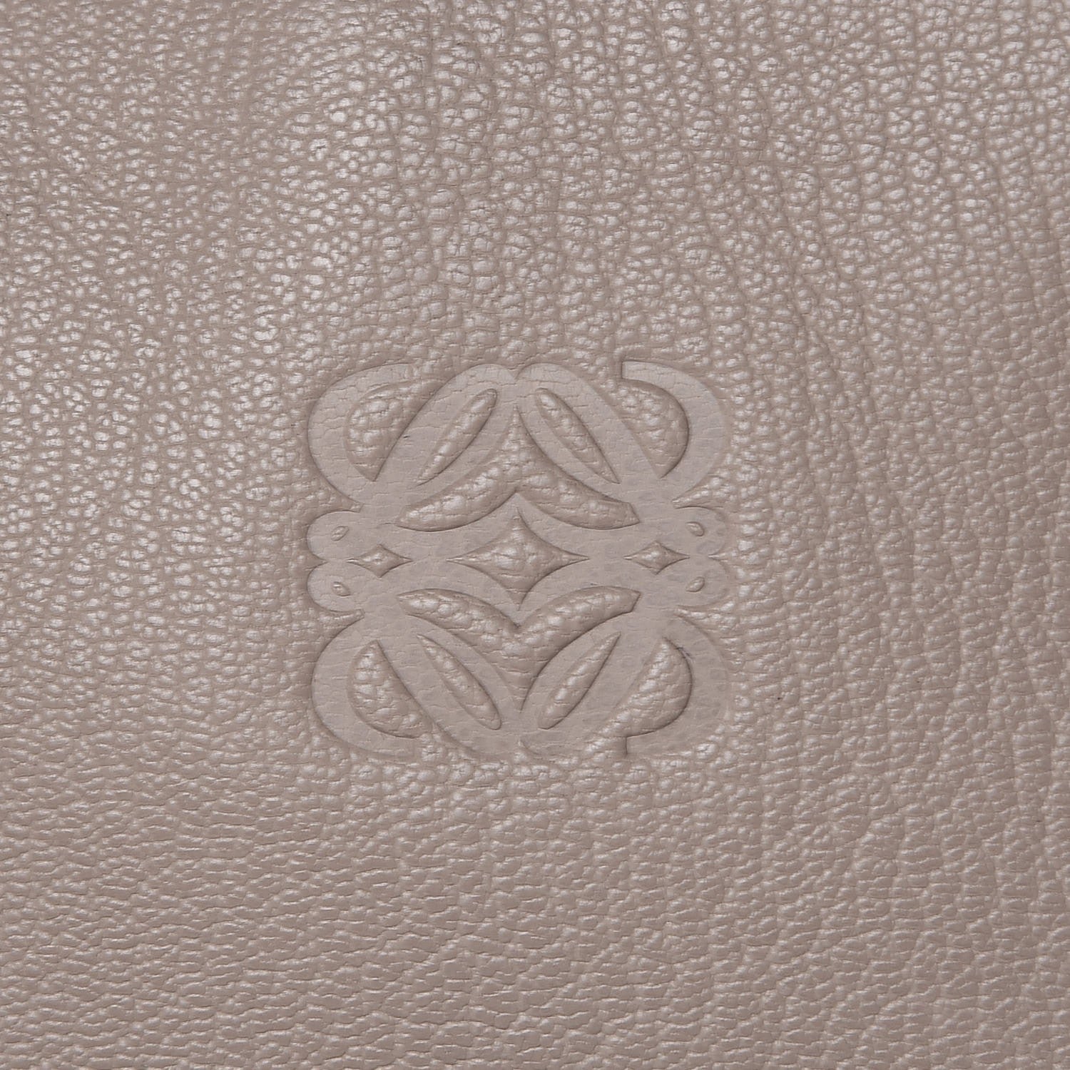 Loewe Goatskin Amazona Beige 6 of 9