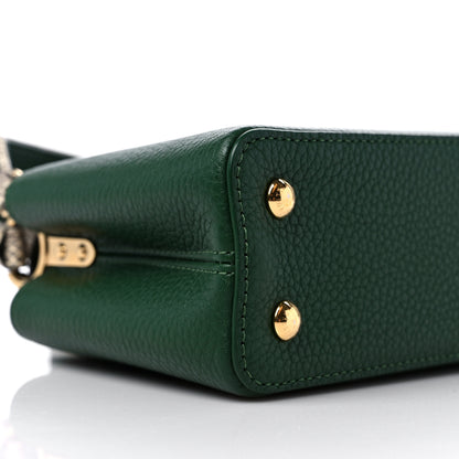 Louis Vuitton Taurillon Ayers Mini Capucines Emeraude 7 of 8