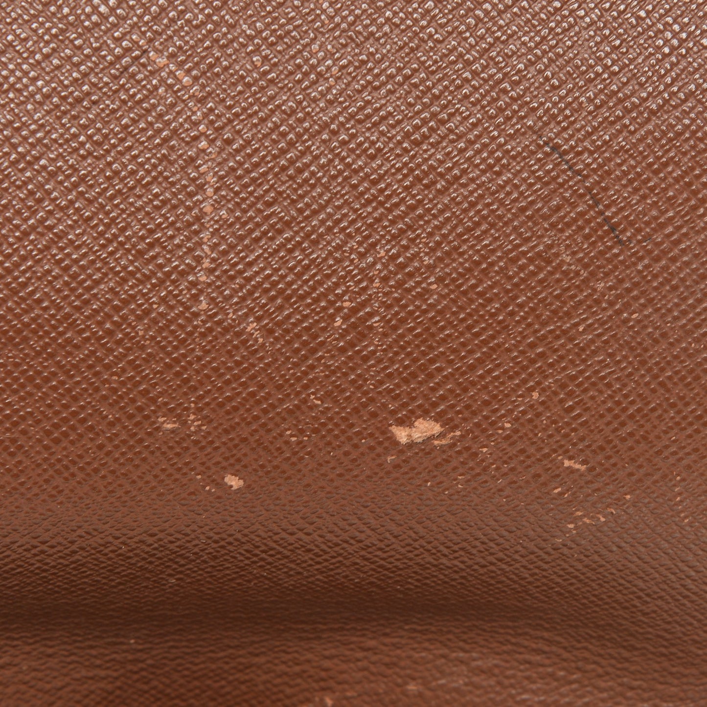 Monogram Musette Salsa
