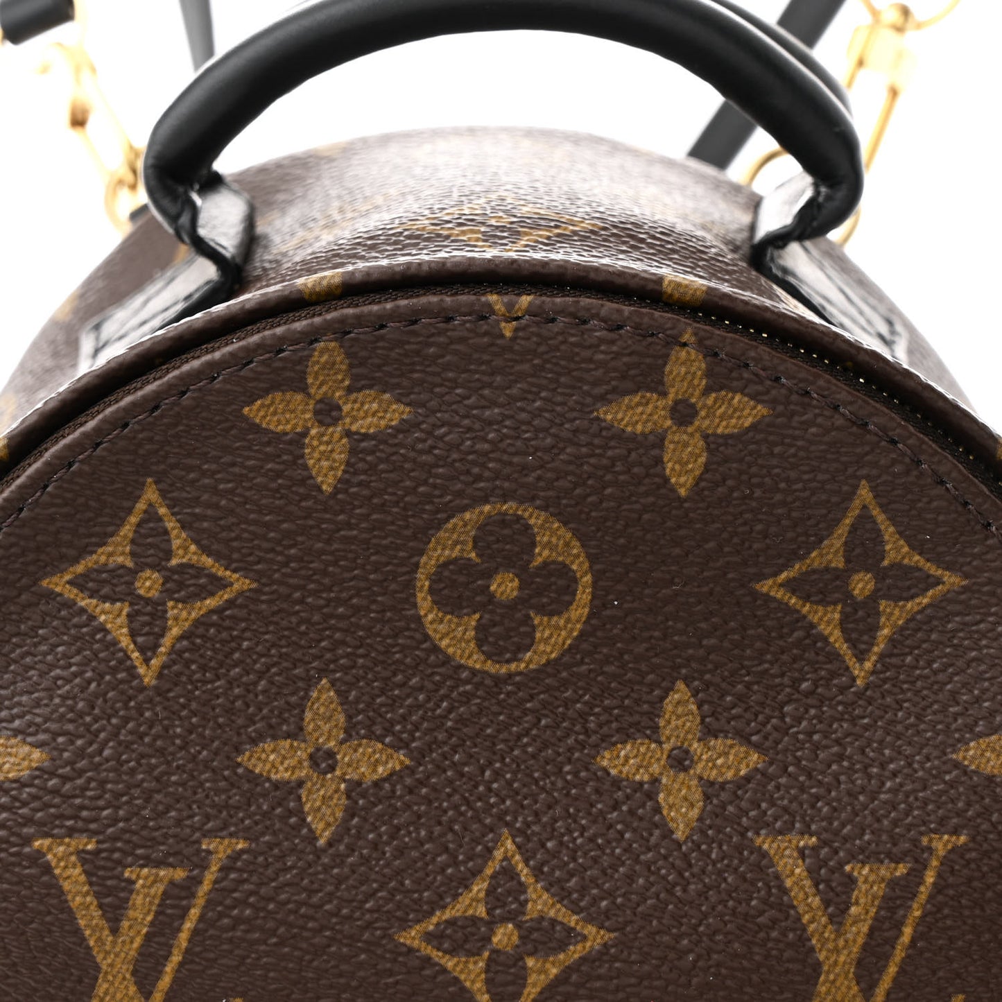 Monogram Palm Springs Backpack Mini