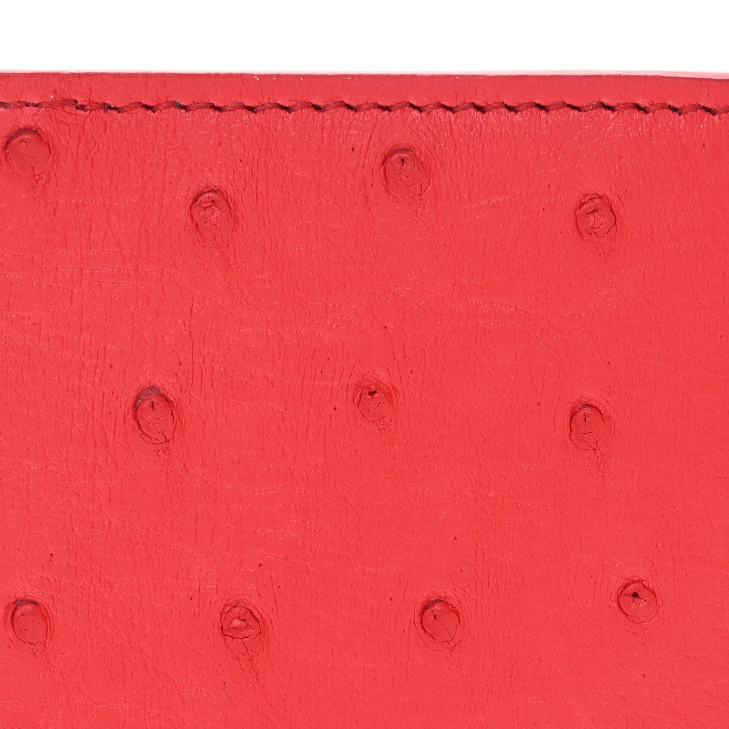 Ostrich Pocket Organizer Rouge