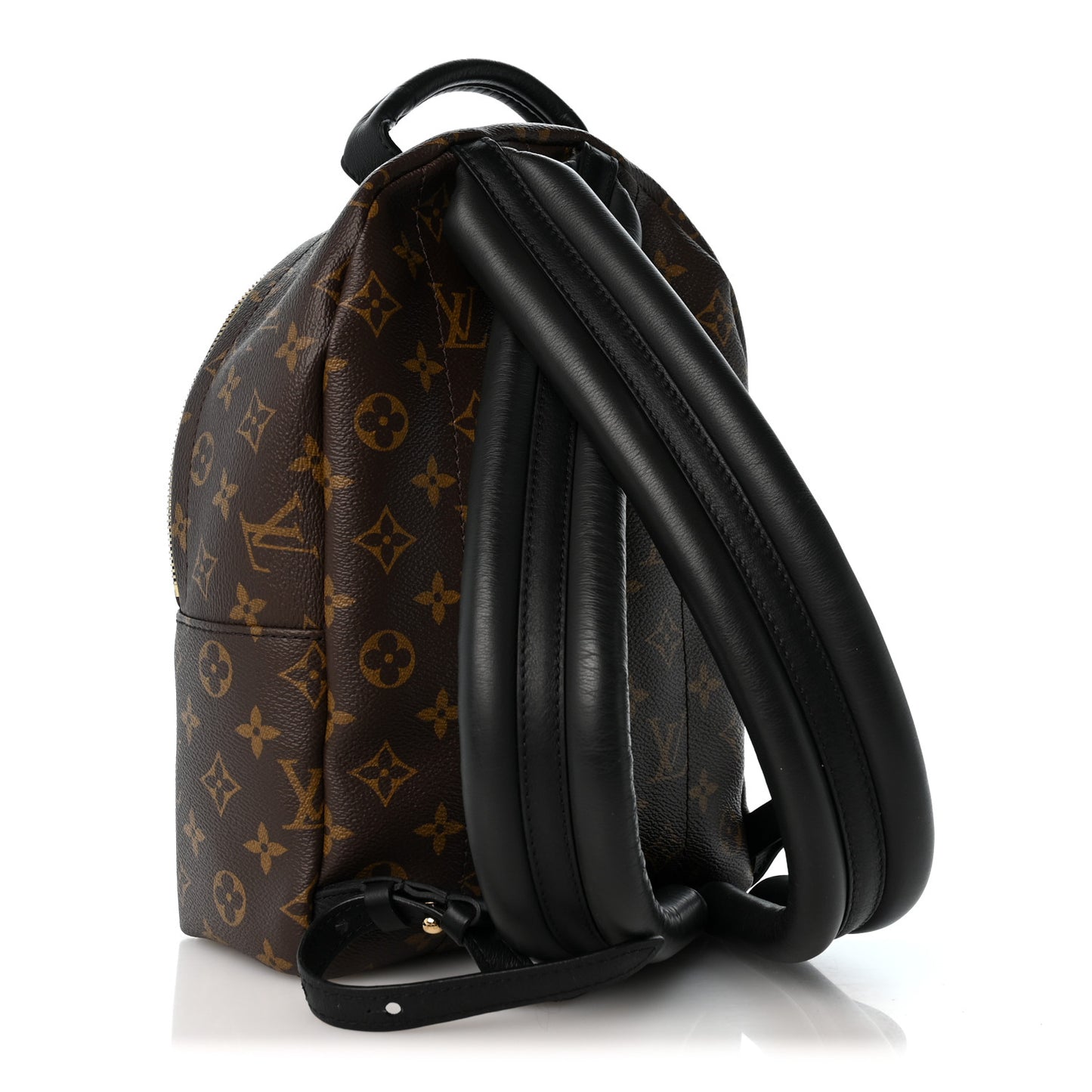 Monogram Palm Springs Backpack PM