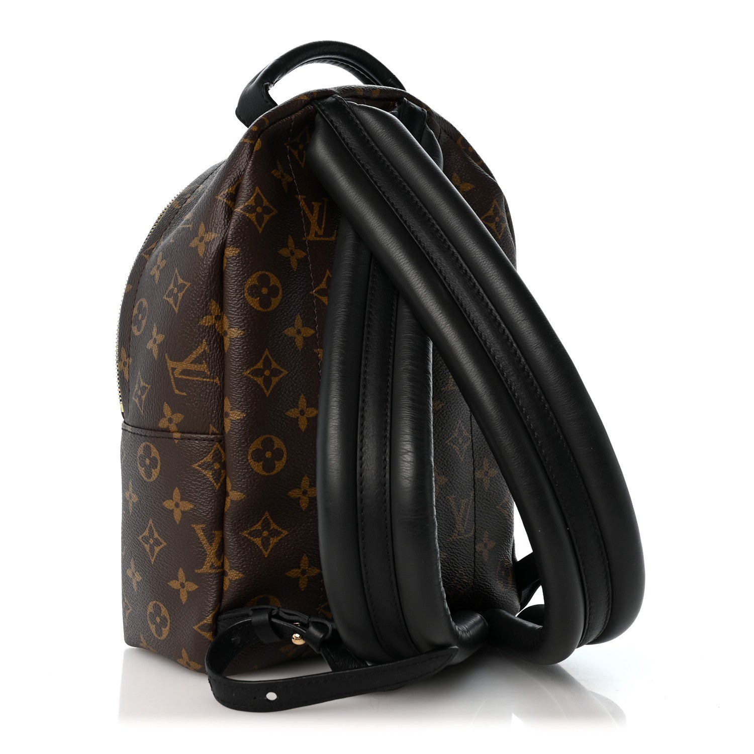 Louis Vuitton Monogram Palm Springs Backpack PM 3 of 11