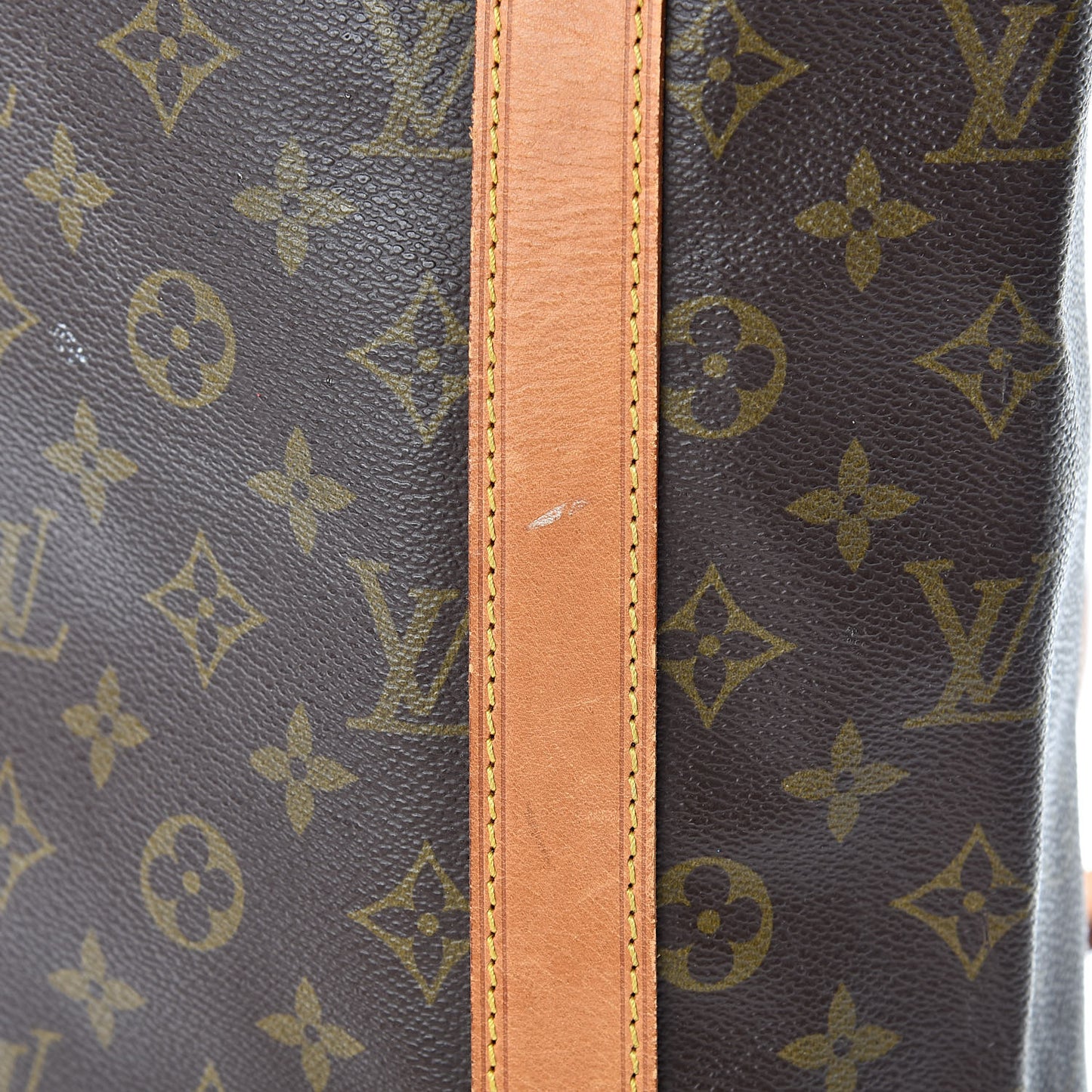 Monogram Randonnee GM Backpack
