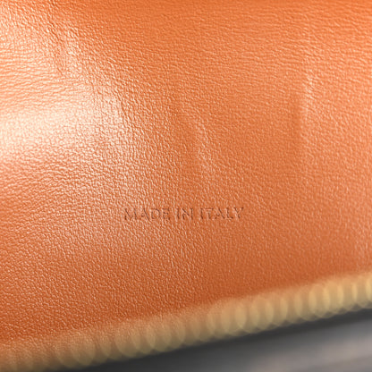 Celine Triomphe Canvas Lambskin Wallet On Strap Tan 7 of 14