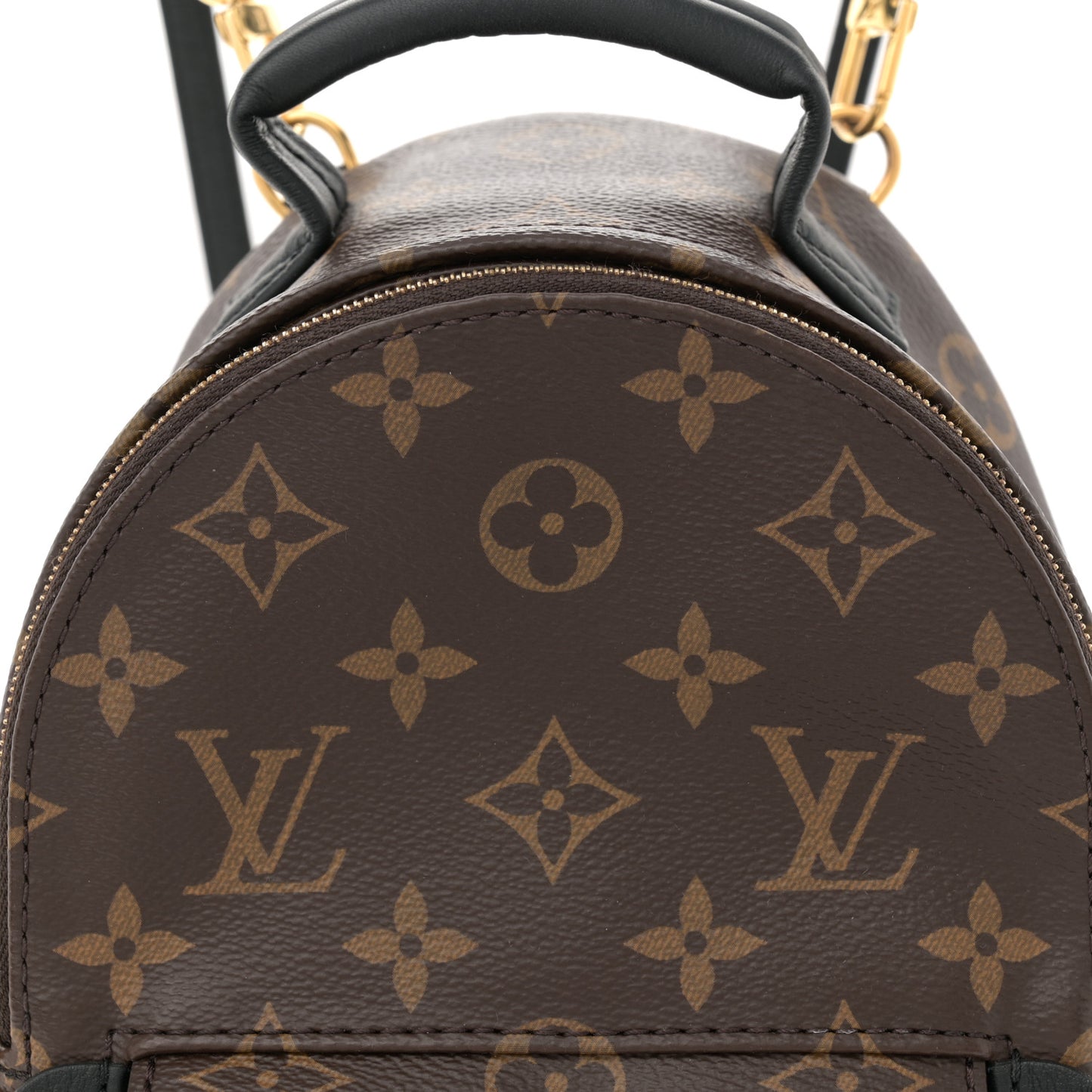 Monogram Palm Springs Backpack Mini