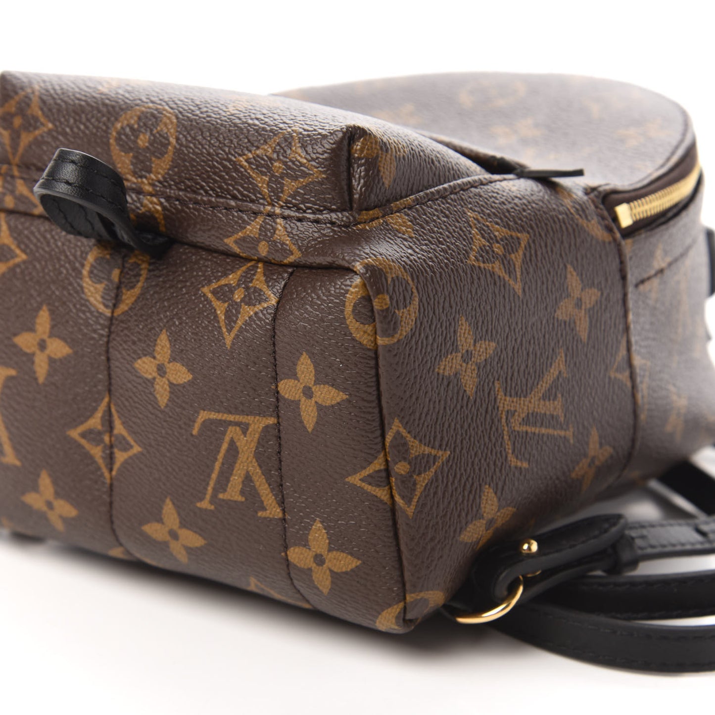 Monogram Palm Springs Backpack Mini