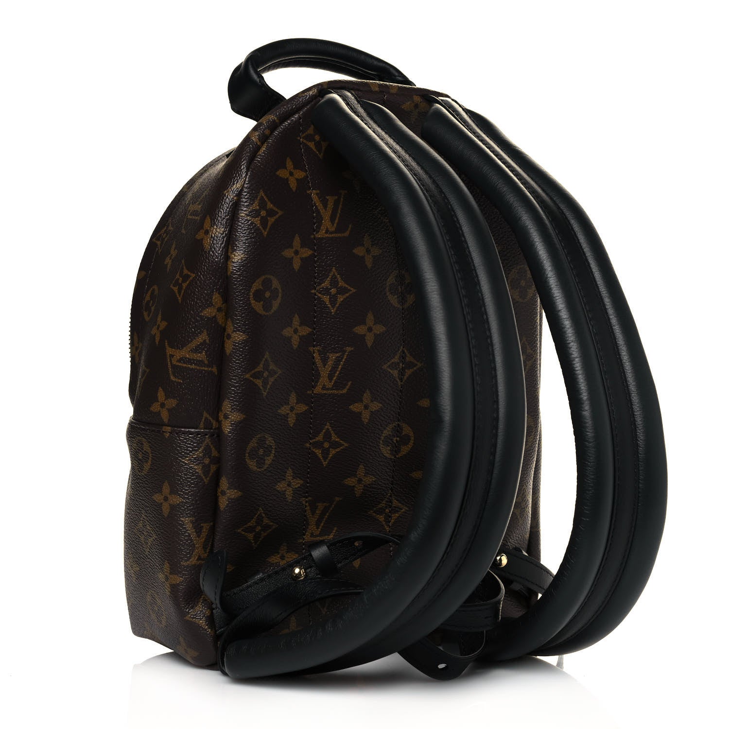 Louis Vuitton Monogram Palm Springs Backpack PM 3 of 11