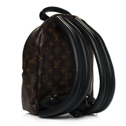 Louis Vuitton Monogram Palm Springs Backpack PM 3 of 11