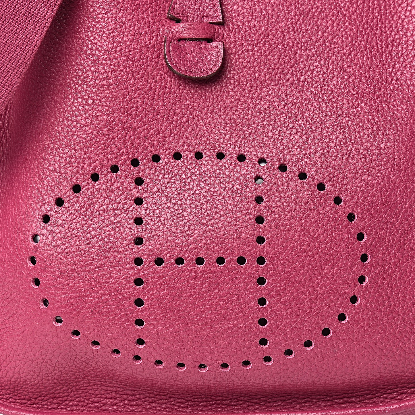 Taurillon Clemence Evelyne III PM Tosca