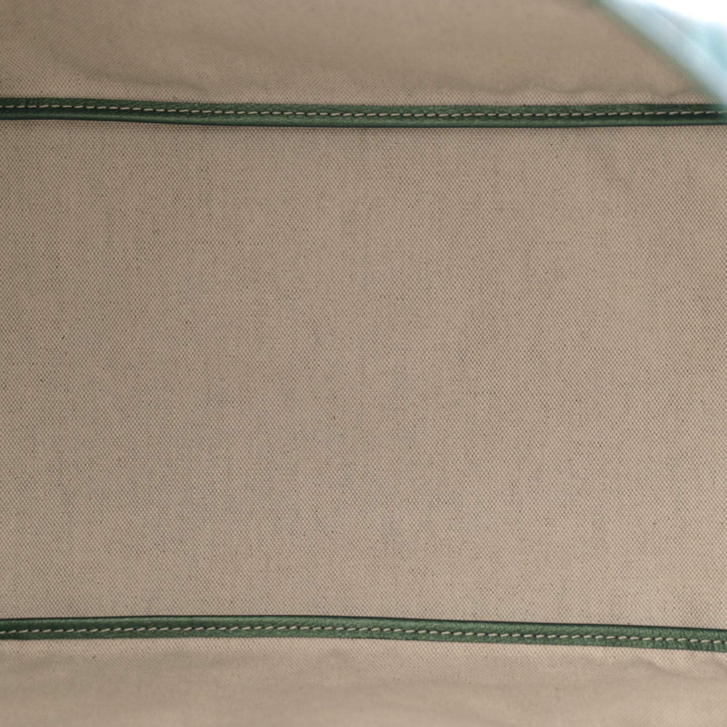 Iridescent Goyardine Saint Louis GM Pearly Green