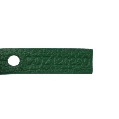 Goyard Goyardine Saint Louis GM Green 8 of 11