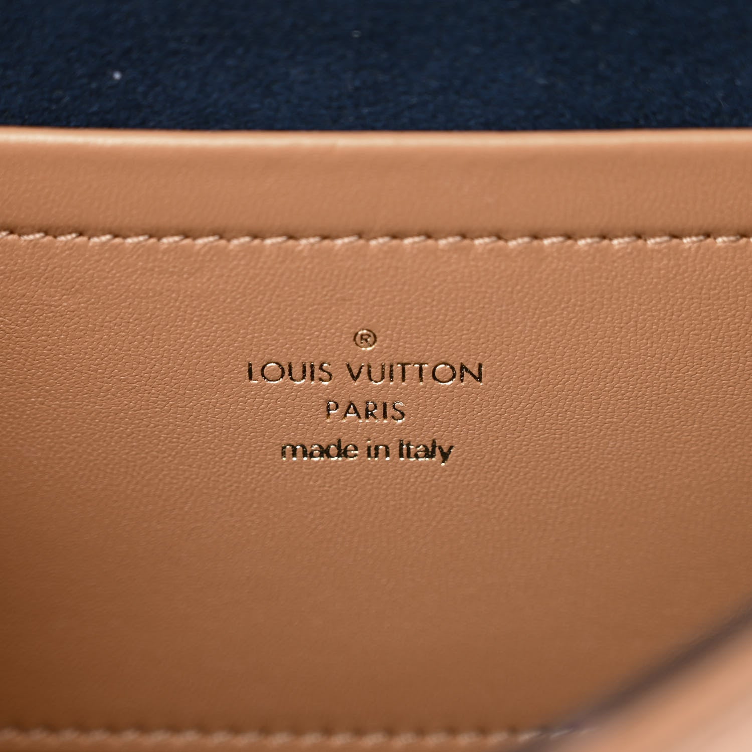 Louis Vuitton Lambskin Embossed Monogram Pochette Coussin Camel 5 of 10