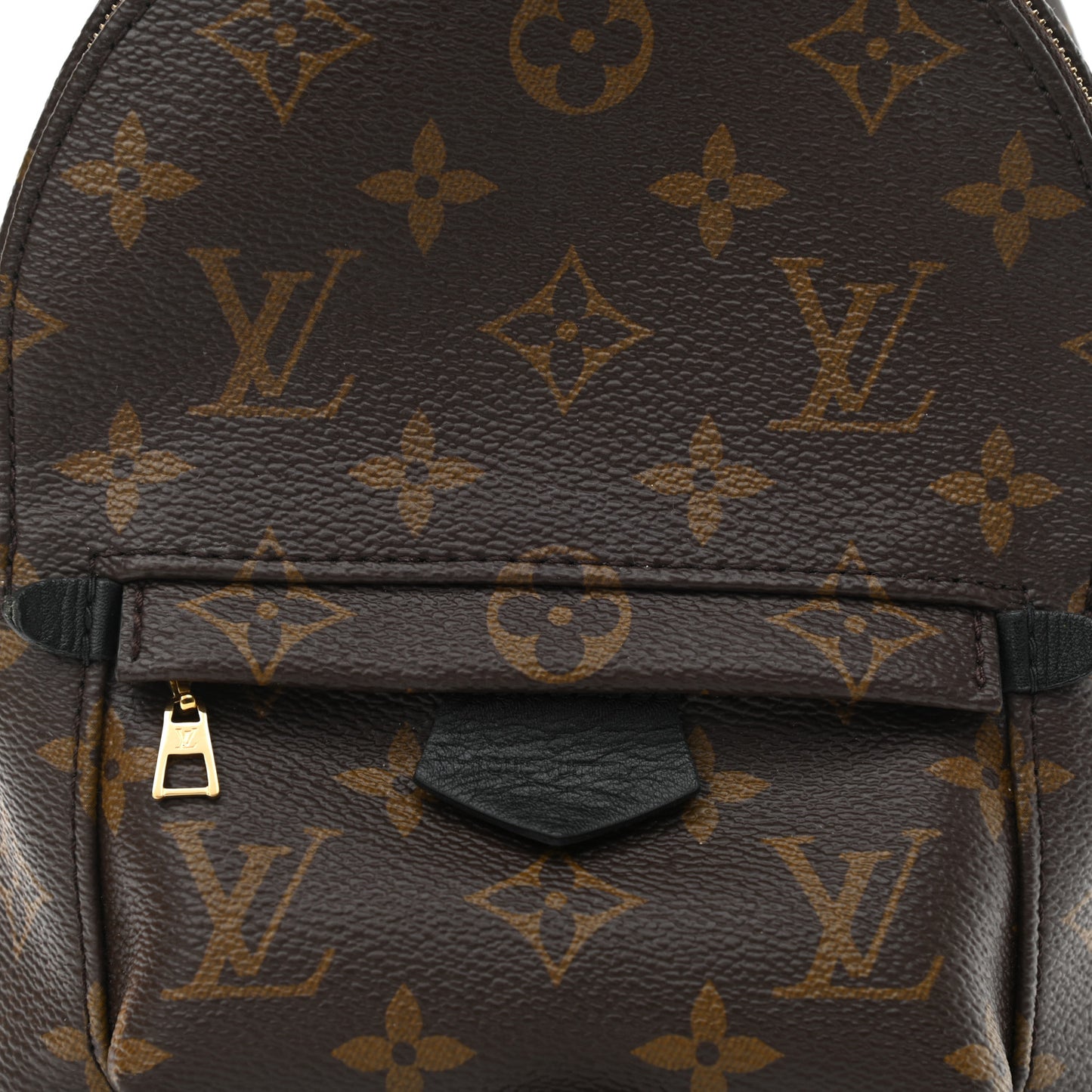 Monogram Palm Springs Backpack Mini