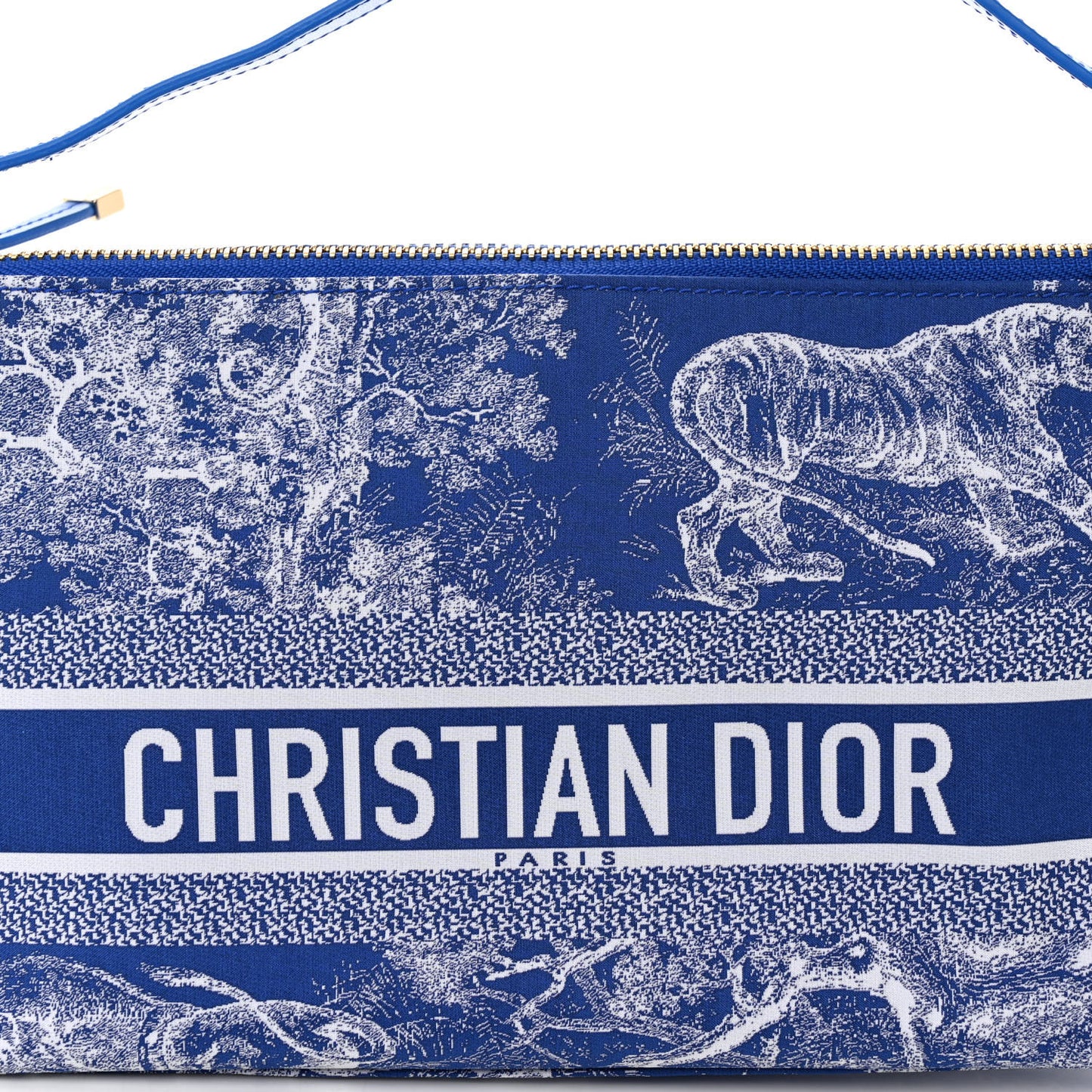 Technical Fabric Toile De Jouy DiorTravel Nomad Pouch Fluorescent Blue