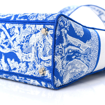 Christian Dior Toile de Jouy Embroidered Large Lady D-Lite Blue 8 of 9