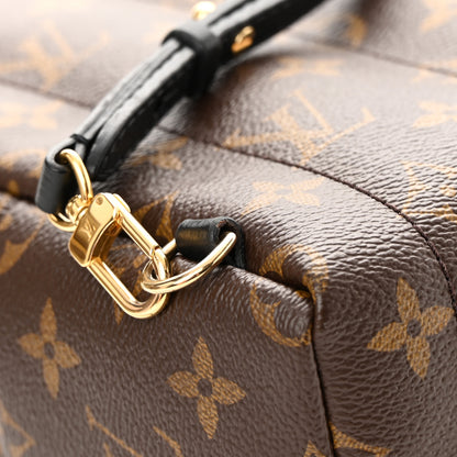 Louis Vuitton Monogram Palm Springs Backpack Mini 13 of 14