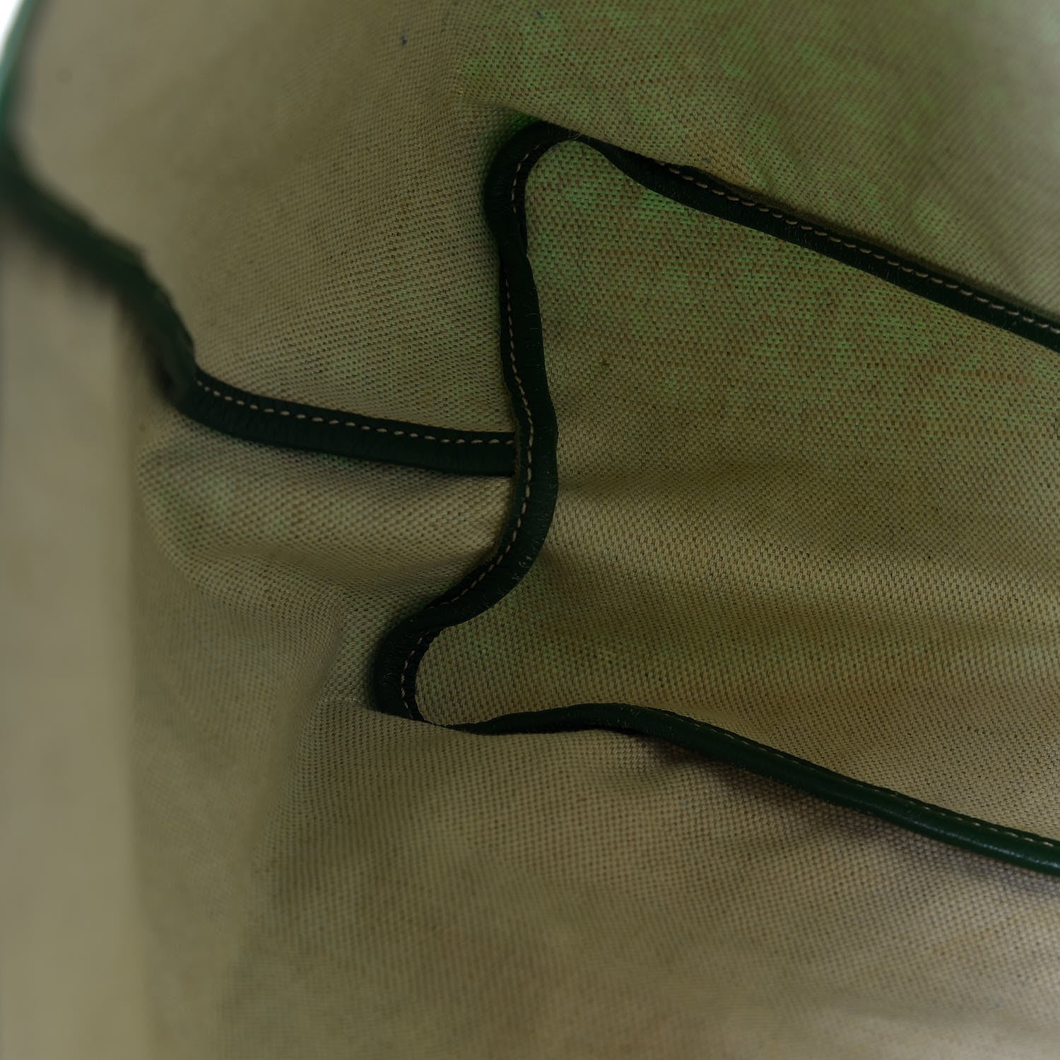 Goyard Goyardine Saint Louis PM Green 13 of 18