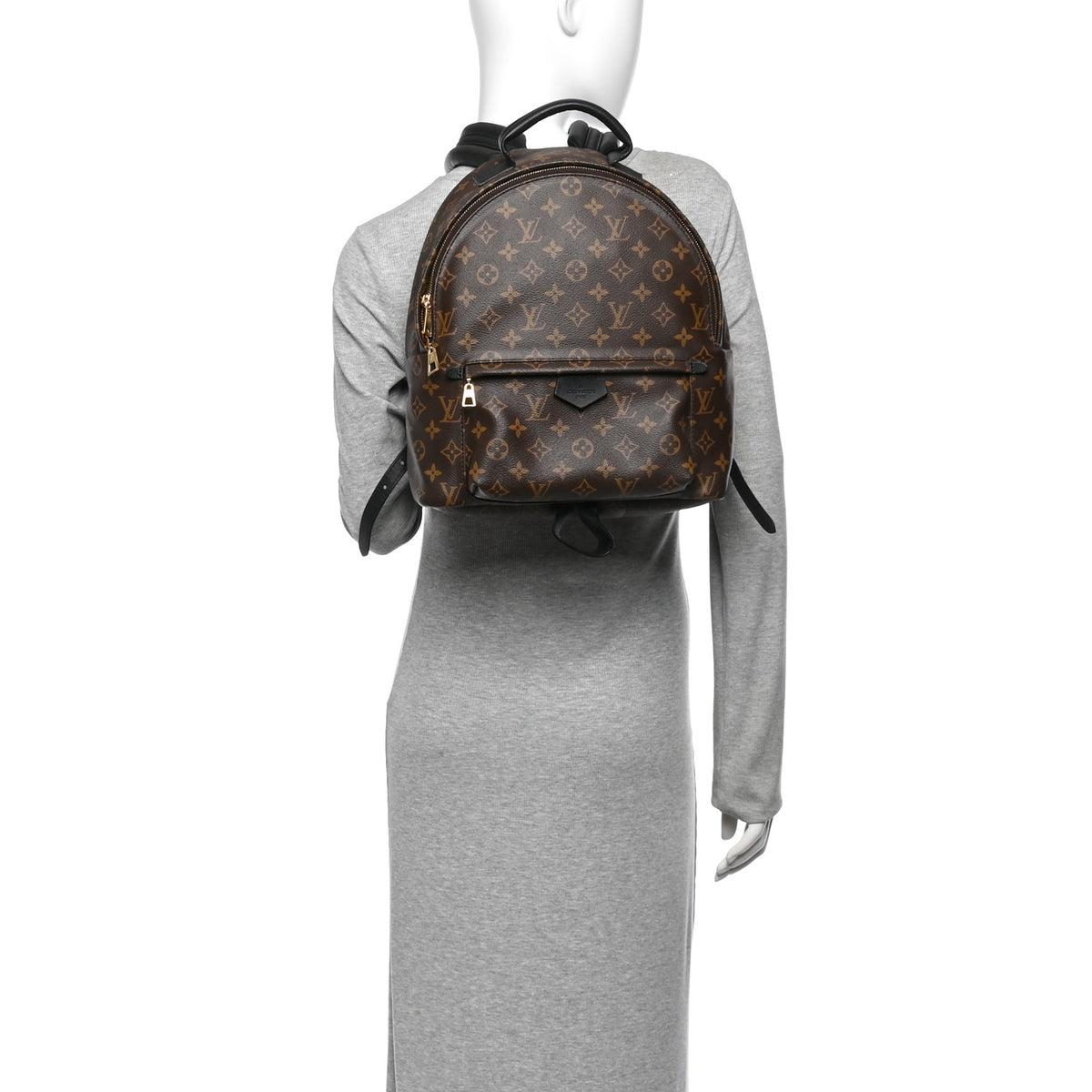 Monogram Palm Springs Backpack MM