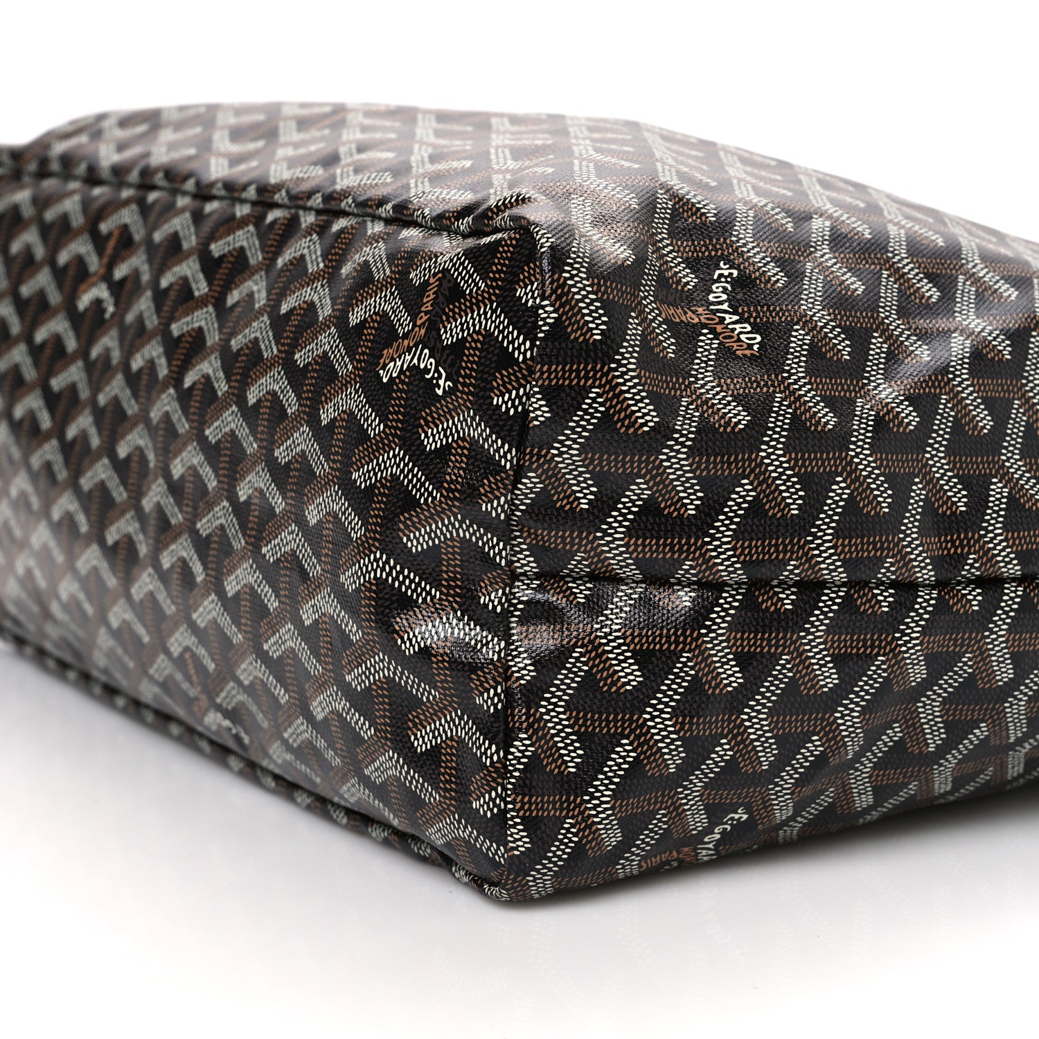 Goyard Goyardine Saint Louis PM Black 10 of 10