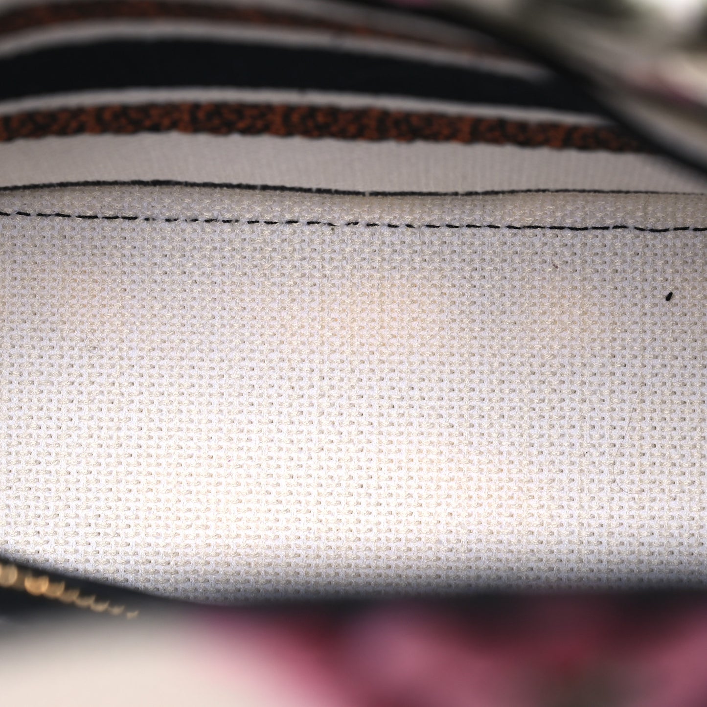 Canvas Embroidered Medium Lady D-Lite Ecru Multicolor