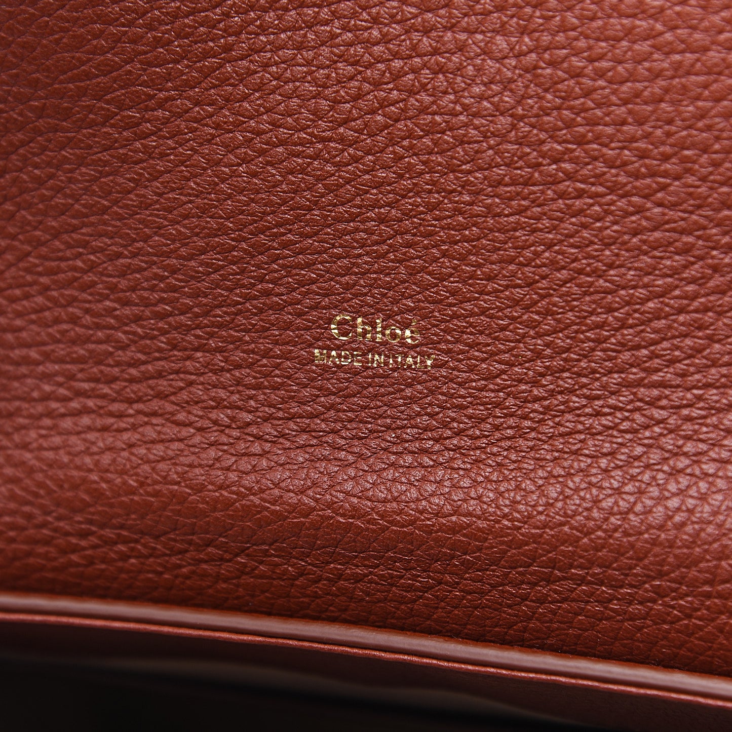Shiny Grained Calfskin Medium Aby Day Shoulder Bag Sepia Brown