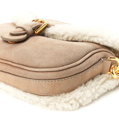 Christian Dior Suede Shearling Medium Bobby Flap Beige 9 of 10