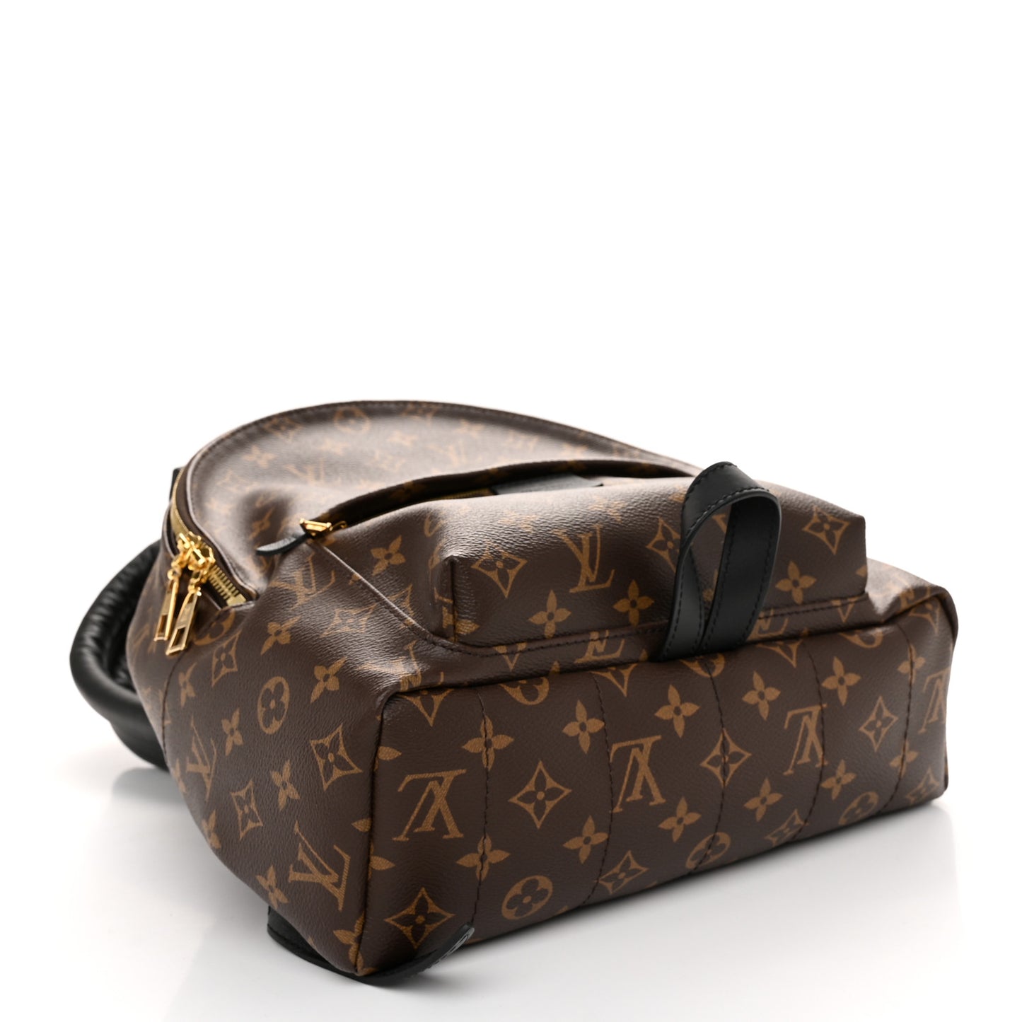 Monogram Palm Springs Backpack MM