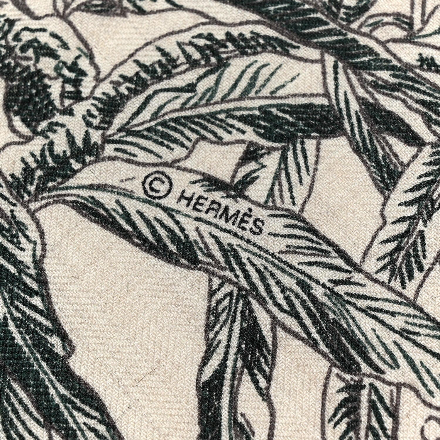 Hermes Cashmere Silk All 'Orto Botanico Di Palermo Shawl 140 Vert