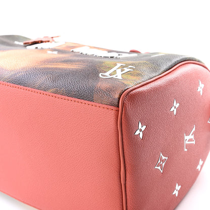 Louis Vuitton Masters Da Vinci Speedy 30 6 of 13