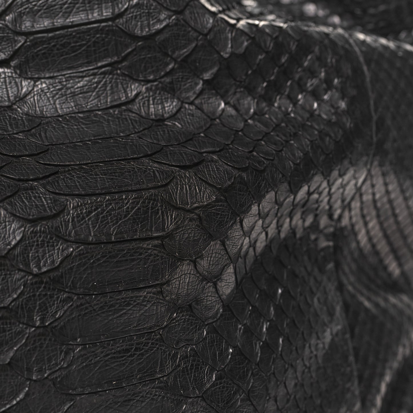 Snakeskin Medium Patti Stud Hobo Black