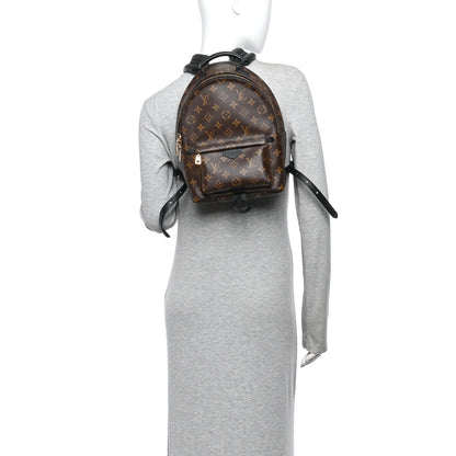 Louis Vuitton Monogram Palm Springs Backpack PM 2 of 10