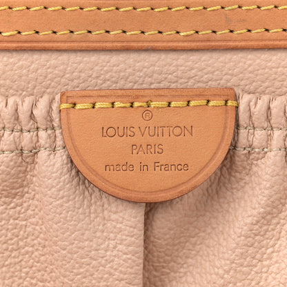 Louis Vuitton Monogram Nice 6 of 17